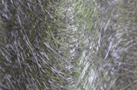 Adfa fibreglass roof work